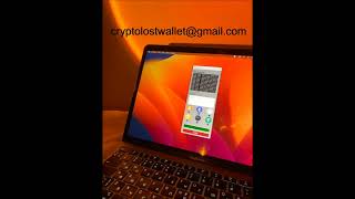 Search for lost crypto wallet with our software [upl. by Pippo]