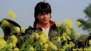 Tujhe Dekha toh ye Jana Sanam  Shahrukh KhanKajol  DDLJ [upl. by Asusej288]