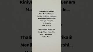 Arikil Pathiye Idanenjil🌸 Lyrics trendingsongs lovesong viral shorts arikilpathiyelyrics [upl. by Horatia141]