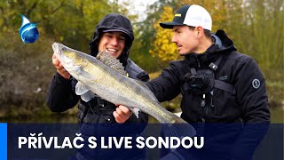 PŘÍVLAČ S LIVE SONDOU  Sharpshooting  T Dašek J Holubec  přívlač  Fishsurfing Series 192024 [upl. by Anaicilef]