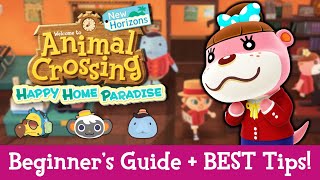 Happy Home Paradise Tips  Guide for New Players New Animal Crossing Update 20 New Horizons DLC [upl. by Toth856]