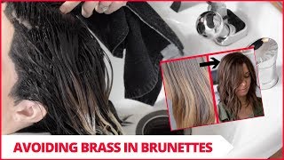 Avoiding Brassiness In Brunettes Salon Vlog Ep 1 [upl. by Nnahtebazile]