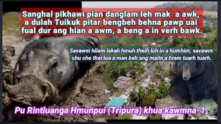 Sanghal pikhawi mak danglam tak a awk  Pu Rintluanga Hmunpui khua Tripura kawmna 1 [upl. by Oicnerual954]