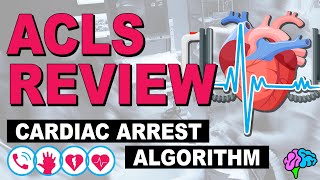 Cardiac Arrest  ACLS Review [upl. by Ilamad]