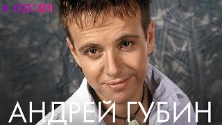 АНДРЕЙ ГУБИН  TOP 20  Лучшие песни [upl. by Anawad670]