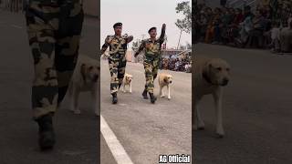 BSF Dog 🐕Parade At Jammu Suchetgarh indian shorts dog [upl. by Ayoral905]