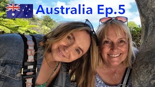 Mooloolaba Birds Australia Ep5 [upl. by Karb]