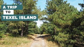 A Trip to Texel Island the Netherlands  4K [upl. by Asyen188]