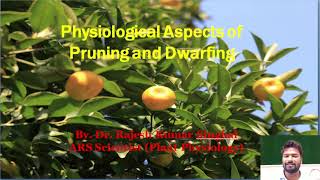 Pruning and Dwarfing Physiology [upl. by Annayrb]