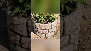 DIY cement ideas for garden cementcraftideas 5minutecrafts diy [upl. by Harraf]