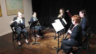 HD REUPLOAD Woodwind Quintet No 2 quotFour Windsquot 2017 by Elaine Fine [upl. by Itsym442]