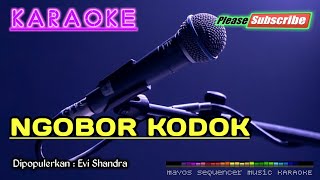 NGOBOR KODOK Evi Shandra KARAOKE [upl. by Ahsoyek]