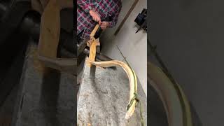 The Bowyers Workshop Recurve Bow [upl. by Swaine291]