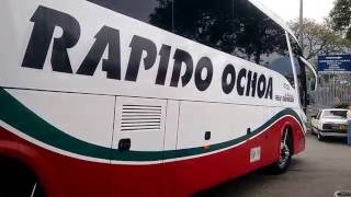 Rapido Ochoa 10117 [upl. by Trow]