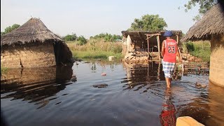 High Tide Flooding in Kerewan Badala URR The GambiaPart 1 [upl. by Hamfurd]