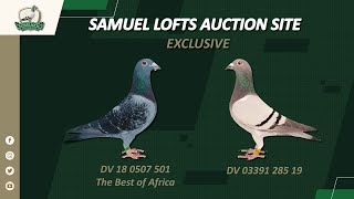 Samuel Lofts Auction Site  DV 18 0507 501 X DV 03391 285 19 [upl. by Merlin454]