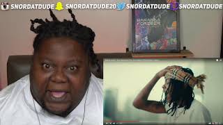 Taleban Dooda  Stay Dangerous feat Dee Watkins Official Music Video REACTION [upl. by Feld]