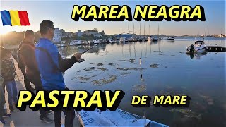 Pastrav de mare in Marea Neagra  EPISODUL 103 [upl. by Gschu792]