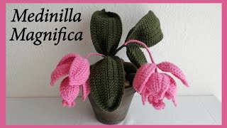 Crochet Medinilla Magnifica [upl. by Ecirpak]