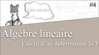 Algèbre linéaire  Méthode de triangularisation dune matrice  Calcul du déterminant 4 [upl. by Bellanca640]