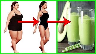 Avocado Benefits for Weight Loss  Avocado Weight Loss Smoothie [upl. by Assirralc244]