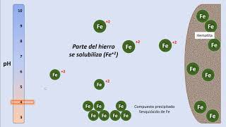 Cap103 Deficiencias nutricionales en las plantas [upl. by Aillimac]