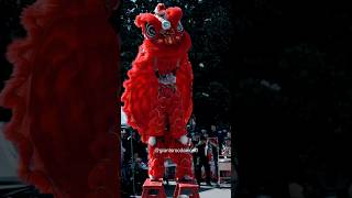 Leung’s White Crane USA Lion Dance [upl. by Pebrook]