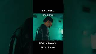 Feid x Yandel  BRICKELL FERXXO EDITION [upl. by Cinom]