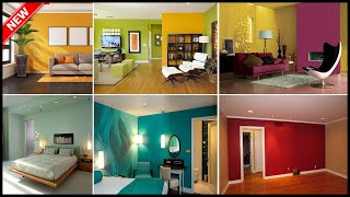 Top 50 Room Color Combination Ideas  Bedroom Wall Paint Ideas  Gopal Home Decor [upl. by Gable925]