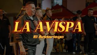 LA AVISPA  EL ANDARIEGO LETRA [upl. by Linehan]