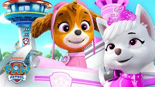 Skye amp PAW Patrol Make an Emergency Rescue at the Lookout Tower  Shimmer and Shine [upl. by Arraes]