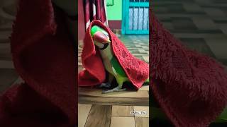 Mitu Sona 🦜🦜🦜parrot birds cute animals talkingparrotwhiteparrot [upl. by Hunsinger]