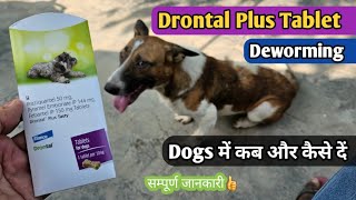 Drontal Plus Tablet dogs uses in Hindi  drontal plus Deworming tablet  Dog unique cafe [upl. by Nelram]