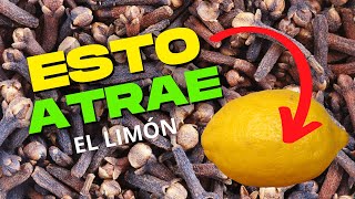 🍋 El Gran SECRETO del clavo de olor con LIMÓN para atraer mucha abundancia y alejar lo negativo 2022 [upl. by Niobe350]