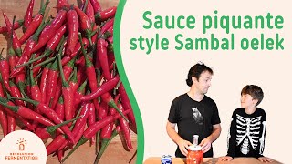 Recette de sauce piquante fermentée style Sambal oelek [upl. by Moina346]