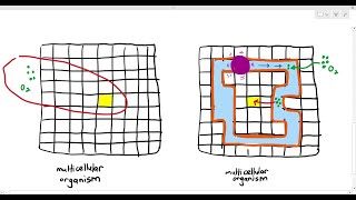 81 Why Some Multicellular Organisms Need A Transport System Cambridge AS amp A Level Biology 9700 [upl. by Waite151]