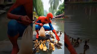 spiderman feeds ducks swimming  SpiderMan Evolution ✅️ shorts [upl. by Ennaillek442]