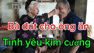 Tình yêu kim cương của hai ông bà trăm tuổi Chăm nhau như mới cưới [upl. by Wenz]