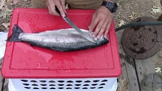 How To Fillet Trout [upl. by Marx]