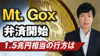 【BTC分析】マウントゴックス弁済開始｜規格外の金額で売り圧力強めるか [upl. by Enayd83]