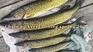 Spring pickerel fishing 2022  Dartmouth Nova Scotia [upl. by Quentin]