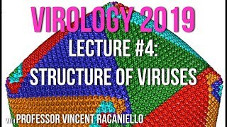 Virology Lectures 2019 4 Structure of Viruses [upl. by Rachele]