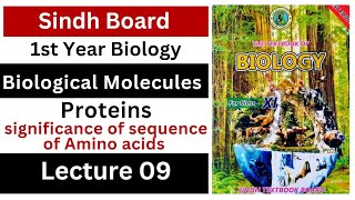 significance of sequence of amino acids  class 11 biology  biological molecules  Sindh board [upl. by Eiralam]