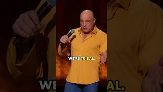 Only 2 Teams  Joe Rogan comedian [upl. by Corvese]