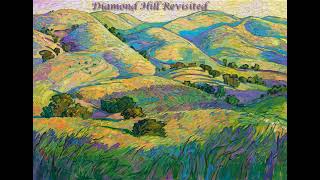 Diamond Hill Redux  Original Lyrical Song [upl. by Lede]