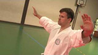 Shotokan amp Shito Ryu Karate Katas DVD Trailer VPM17 [upl. by Ahsain470]