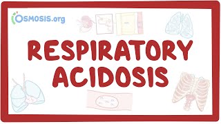 Respiratory acidosis  causes symptoms diagnosis treatment pathology [upl. by Yrehcaz]