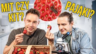 Robaki w truskawkach 🍓 Sprawdzamy pod mikroskopem ft Adam Mirek [upl. by Atnahs]