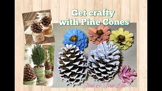 Get Crafty with Pine Cones wreaths repurpose ideas [upl. by Bedwell313]