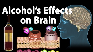 Effects of Alcohol on the Brain Animation Professional version [upl. by Enylrac]